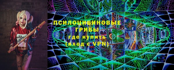 ПСИЛОЦИБИНОВЫЕ ГРИБЫ Алексеевка