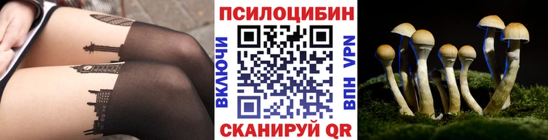 KRAKEN сайт  Вологда  Галлюциногенные грибы Magic Shrooms 