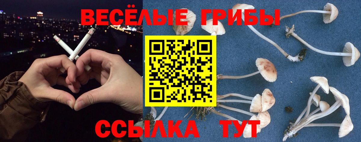Галлюциногенные грибы Psilocybe  Галлюциногенные грибы MAGIC MUSHROOMS  Вологда  Вход с VPN 