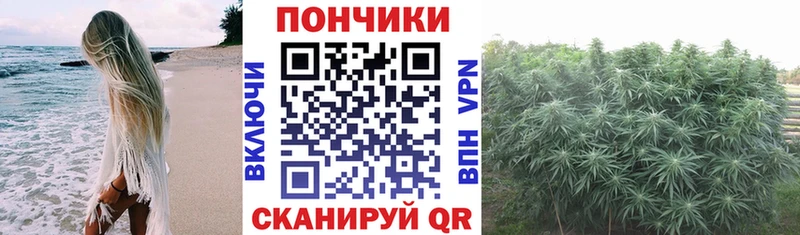 Бошки Шишки Bruce Banner  ОМГ ОМГ ссылка  Вологда  как найти закладки 
