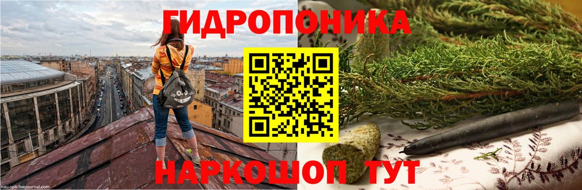 Канабис конопля Вологда